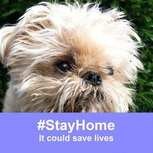 Meet your Posher, Brussels